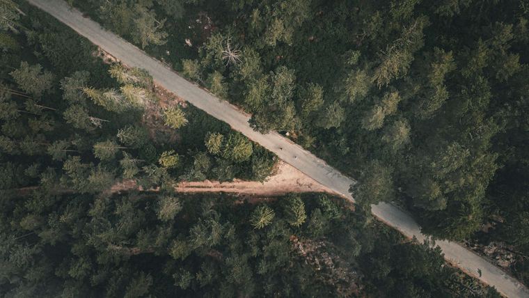 Road cutting through woodland, top-down