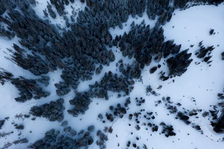 Snow and treeline pattern, straight down